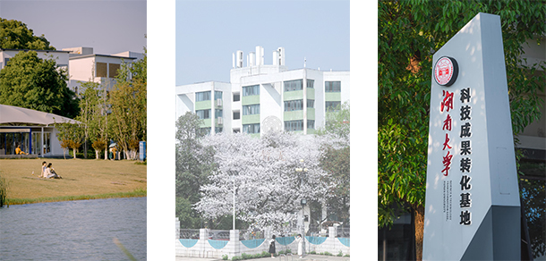 湖南大學 - 最美大學