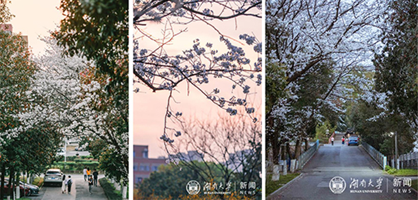 湖南大學 - 最美大學
