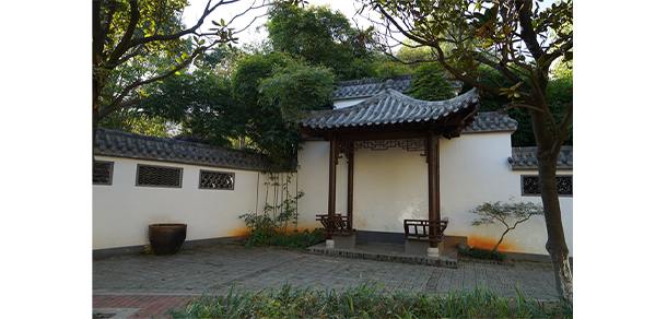 中南林業(yè)科技大學 - 最美大學