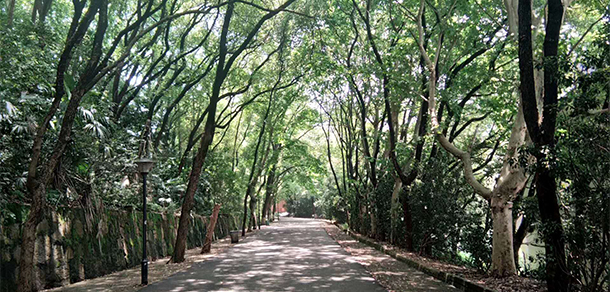 湖南體育職業(yè)學院 - 最美大學