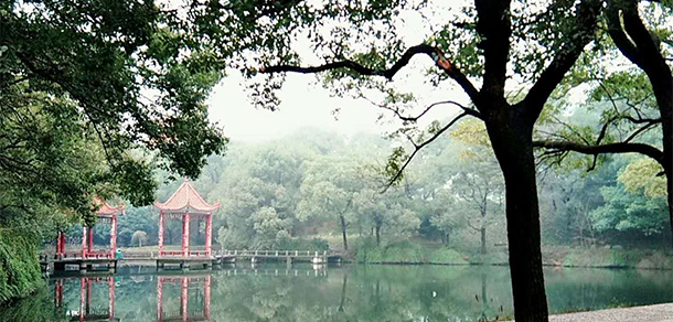 湖南體育職業(yè)學院 - 最美大學