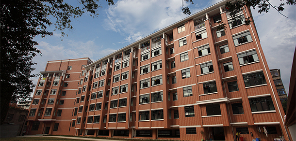 我的大學(xué)-大學(xué)志