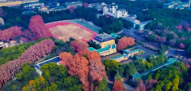 武漢大學 - 最美院校