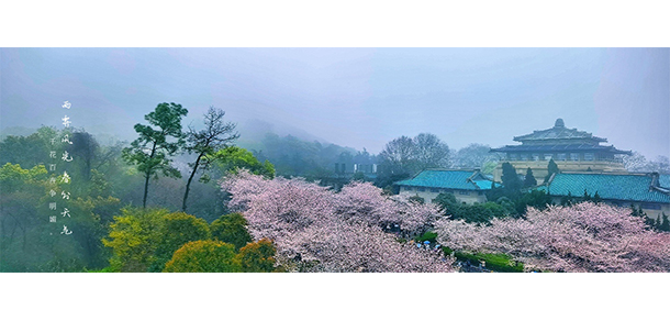 武漢大學 - 最美大學