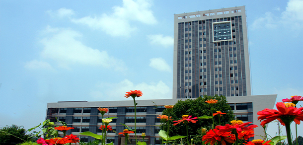 我的大學(xué)-大學(xué)志
