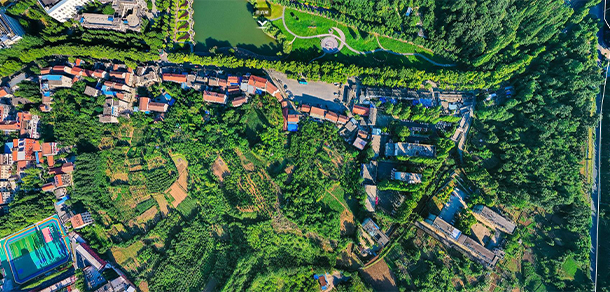 2022年招生分數(shù)