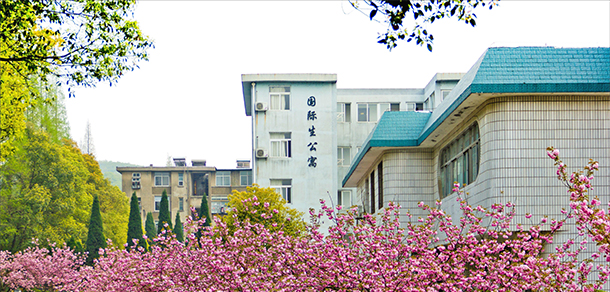 我的大學-大學志
