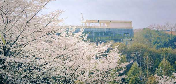 三峽大學 - 最美院校