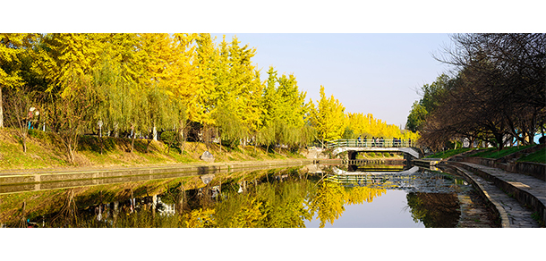 三峽大學 - 最美大學
