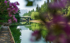 三峽大學 - 我的大學