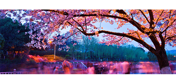 湖北經(jīng)濟學(xué)院 - 最美大學(xué)