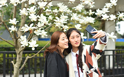 湖北大學知行學院 - 我的大學