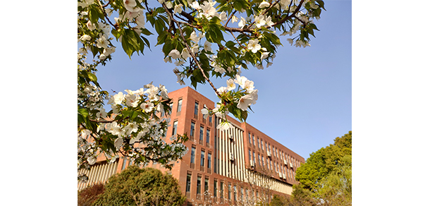 武漢城市學院 - 最美大學
