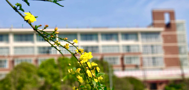 武漢城市學院 - 最美大學