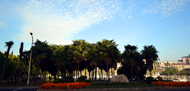 長(zhǎng)江大學(xué)文理學(xué)院 - 最美大學(xué)
