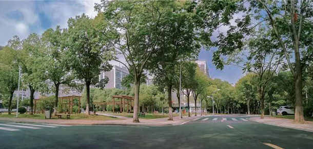 我的大學-大學志