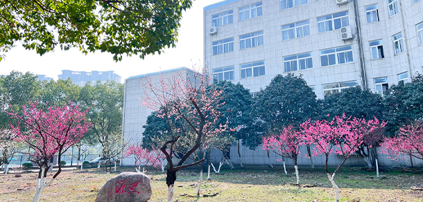 武漢信息傳播職業(yè)技術(shù)學院 - 最美院校