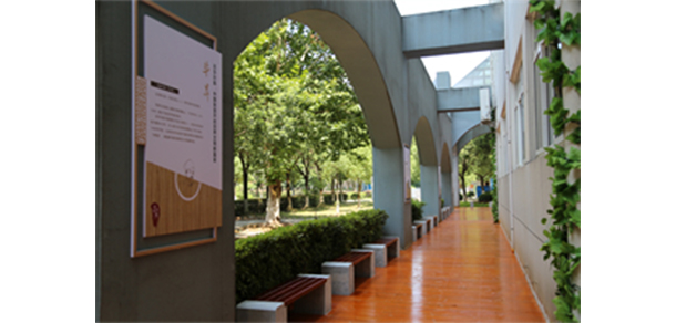 武漢信息傳播職業(yè)技術(shù)學院 - 最美大學