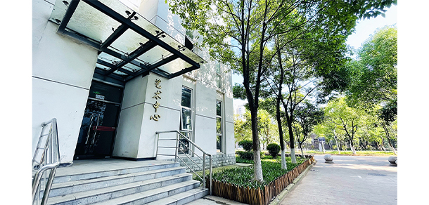 武漢信息傳播職業(yè)技術(shù)學院 - 最美大學