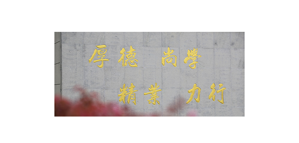 武漢信息傳播職業(yè)技術(shù)學院 - 最美大學
