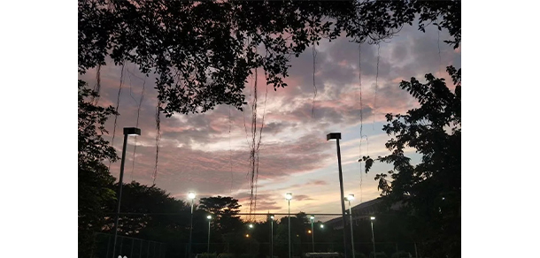 我的大學-大學志