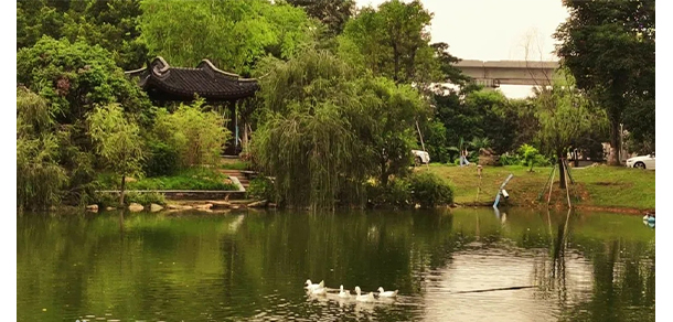 我的大學-大學志