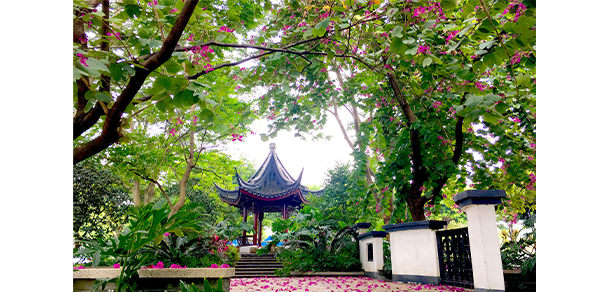 我的大學-大學志