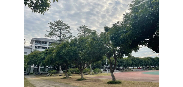 我的大學-大學志