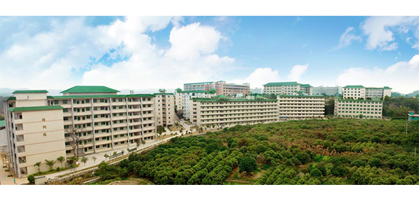 我的大學(xué)-大學(xué)志