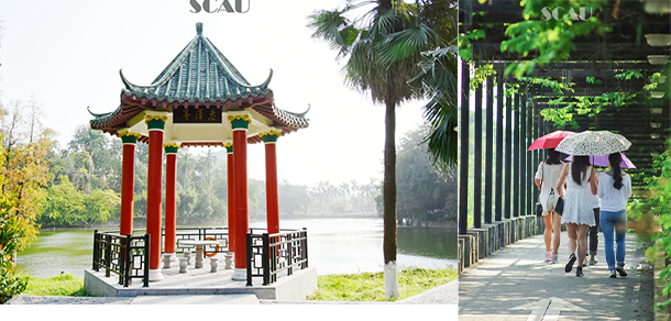 華南農(nóng)業(yè)大學(xué) - 最美大學(xué)