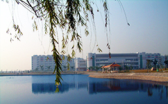 廣東科學技術職業(yè)學院 - 我的大學