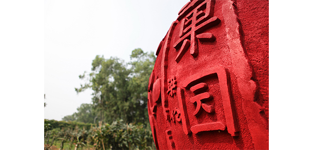 廣東舞蹈戲劇職業(yè)學(xué)院 - 最美大學(xué)