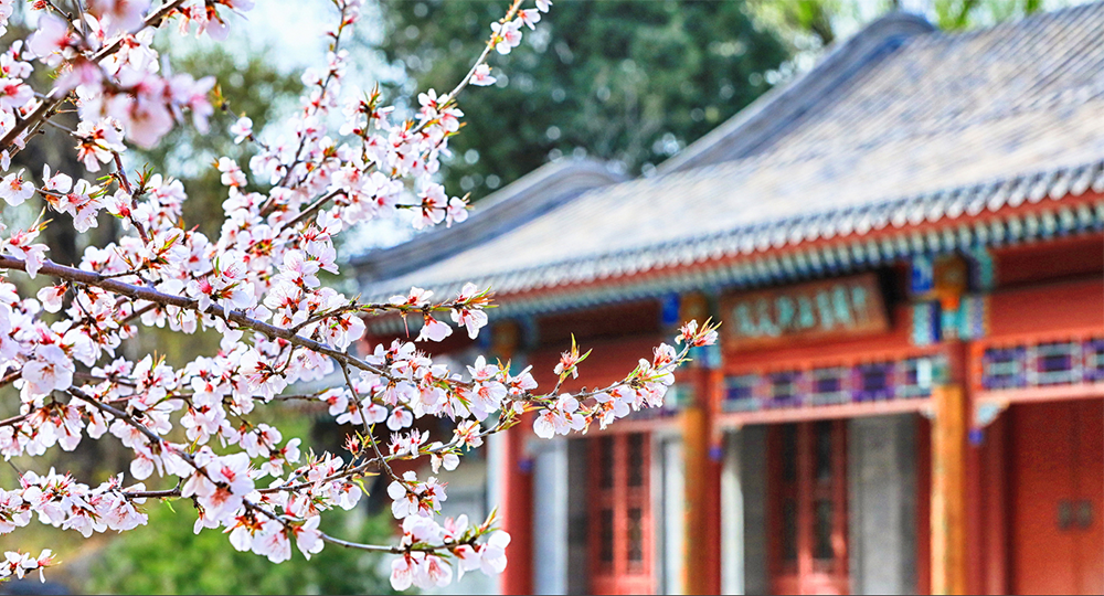 北京大學(xué)：校名題寫 / ?；赵O(shè)計(jì)