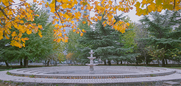 我的大學(xué)-大學(xué)志