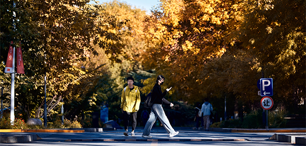 我的大學(xué)-大學(xué)志