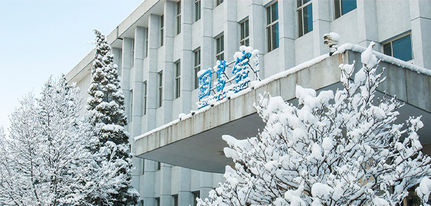 我的大學-大學志