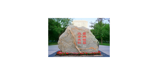 我的大學-大學志