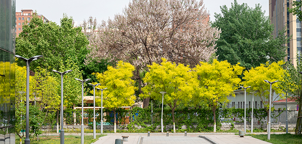 我的大學(xué)-大學(xué)志