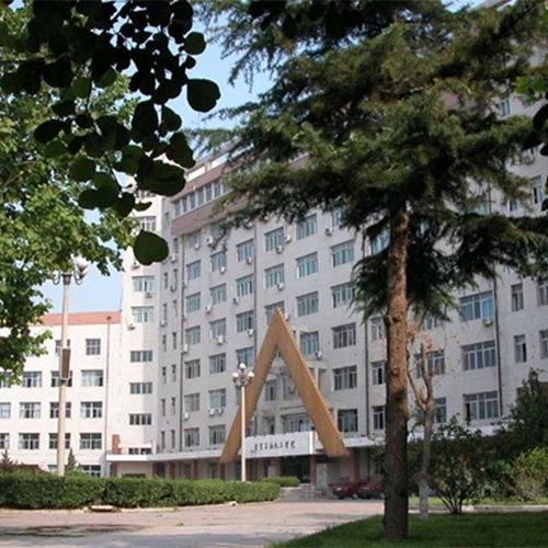 我的大學(xué)