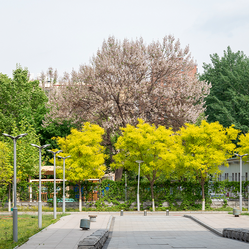 北京石油化工學(xué)院-大學(xué)文化