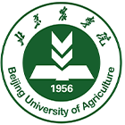 中國最美大學