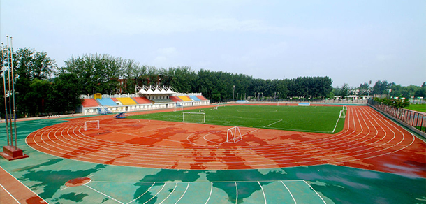 我的大學(xué)-大學(xué)志