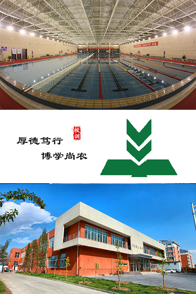 歲月流金 · 青春不散場