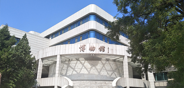 我的大學(xué)-大學(xué)志
