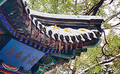 歷史沿革（概）校史