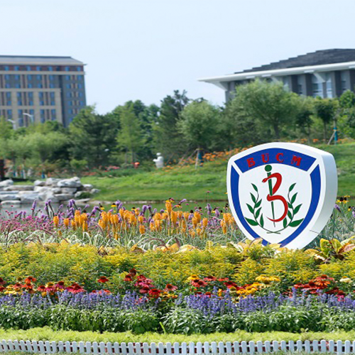 最美大學(xué)