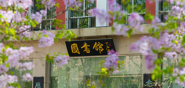 我的大學(xué)-大學(xué)志