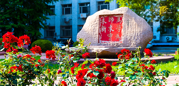我的大學(xué)-大學(xué)志