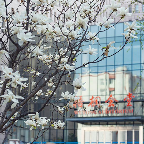 最美大學
