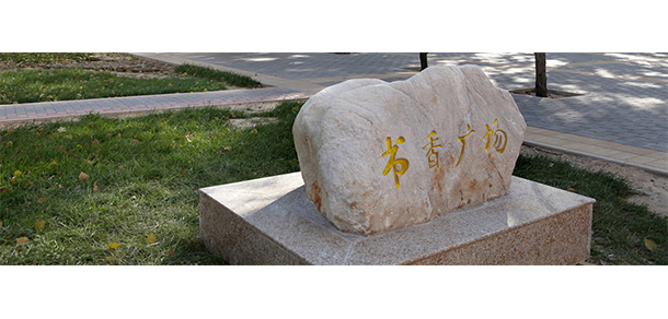 我的大學-大學志